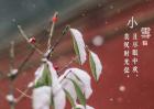 小雪节气是什么意思？