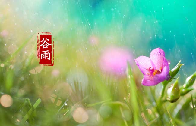 谷雨是什么时候