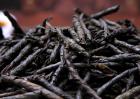 苦丁茶价格多少钱一斤？
