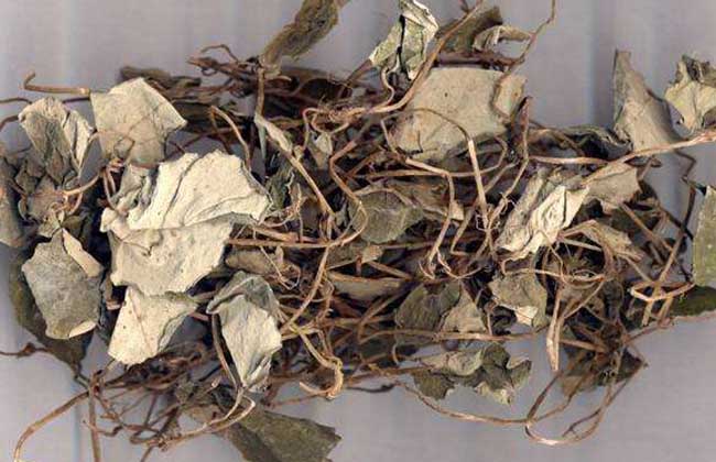 金钱草价格