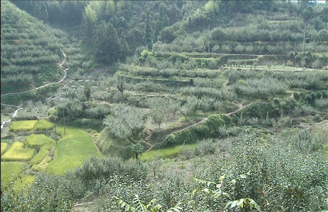 环境